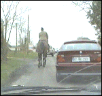 car overtaking horse