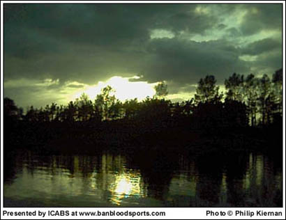 June 2003 - Image 1