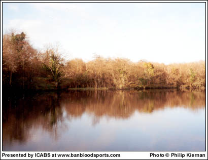 June 2003 - Image 16